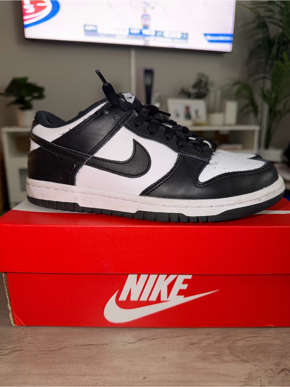 Nike Women’s Dunk Low — Black/White